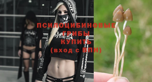 ECSTASY Абдулино