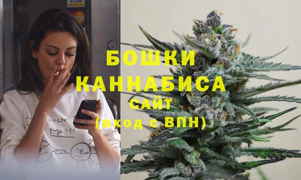 шишки Няндома
