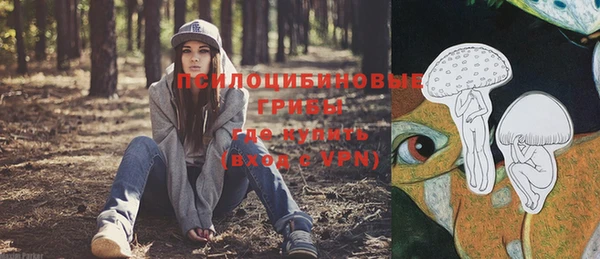 молекула духа Алзамай