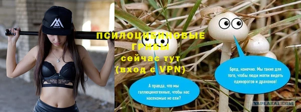 Альфа ПВП Абаза