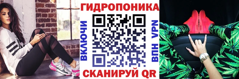 Бошки Шишки планчик Слюдянка